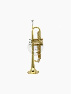 MicroMall(TM) Paint Gold Drop B